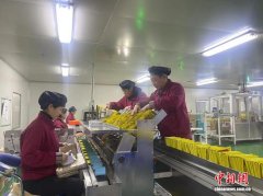 金融支持生物多样性标杆企业 助力西藏创建国家生态文明高地